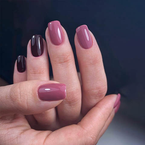 shellac nails Ryde